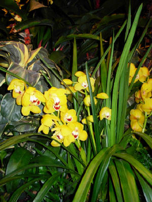 dscn4125.2012.jpg