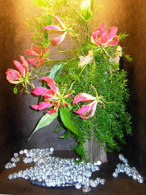 dscn4172.2012.jpg