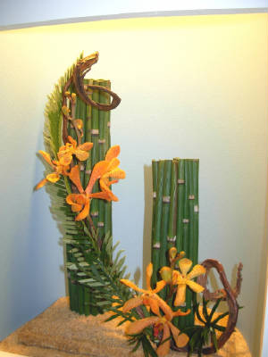 dscn4176.2012.jpg