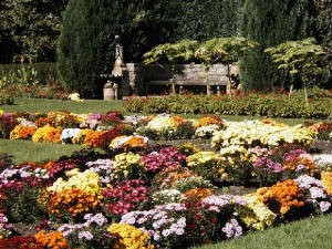 garden-002.jpg