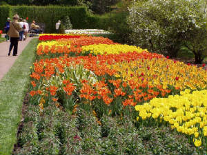 longwood-022.jpg