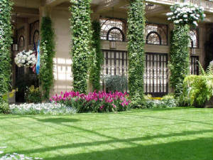 longwood-061.jpg