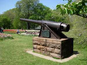 mayroches-007.jpg