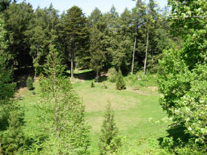 mayroches-014.jpg