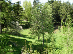 mayroches-015.jpg