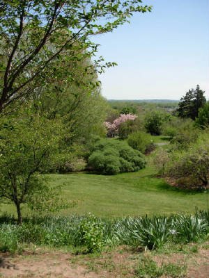 mayroches-021.jpg
