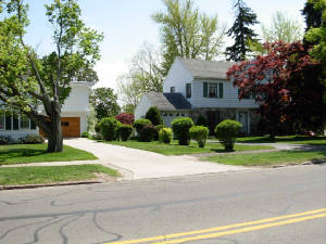 mayroches-077.jpg