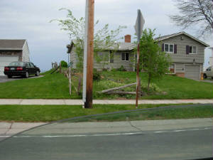 mayroches-094.jpg