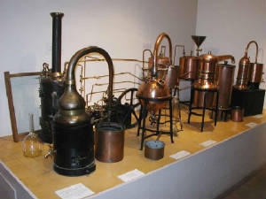 p1010059.jpg