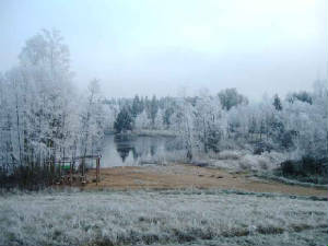 picture-028.jpg