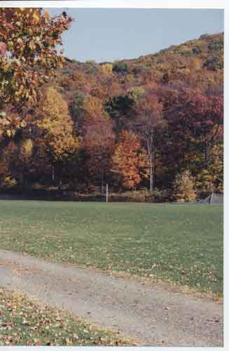 000119.jpg