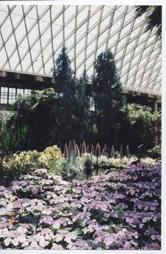 000124.jpg