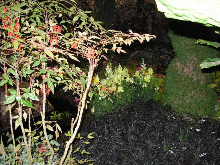03062008philiflex-004.jpg