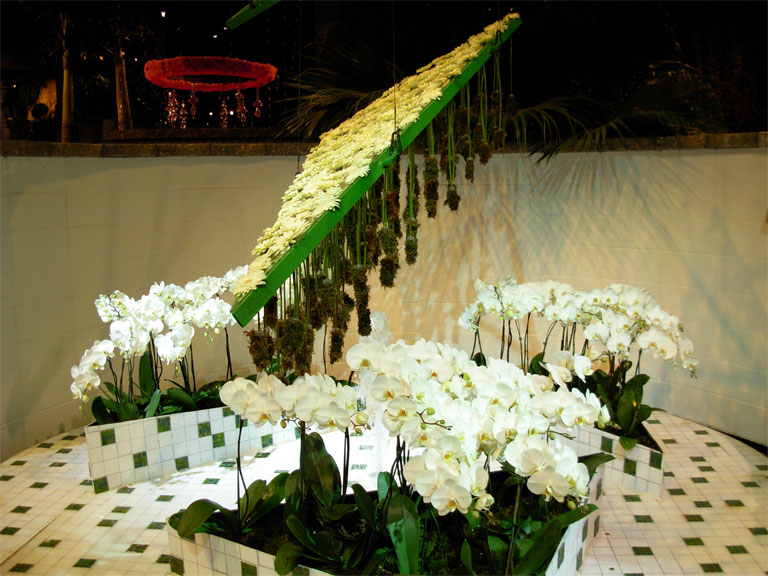 03062008philiflex-012.jpg