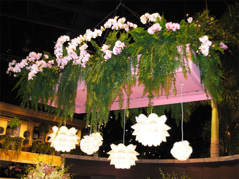 03062008philiflex-015.jpg