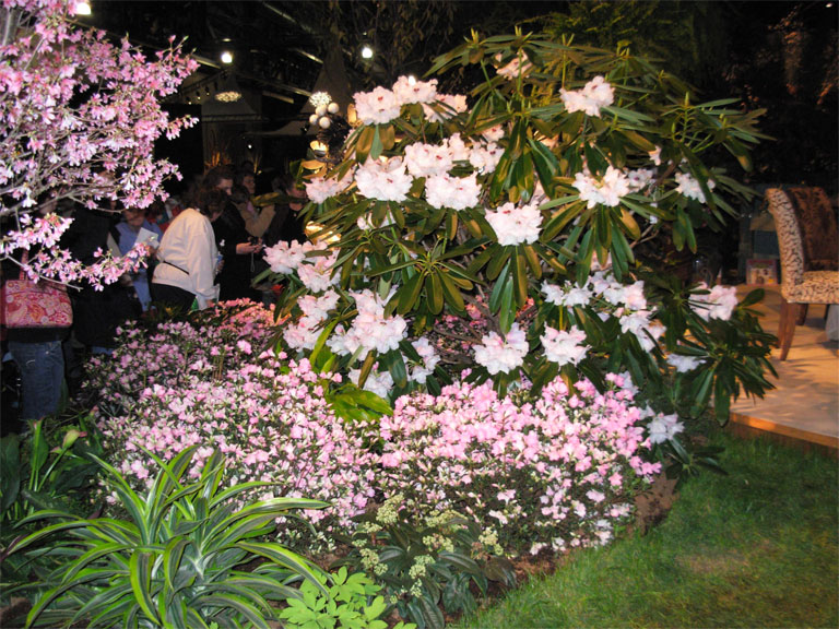 03062008philiflex-024.jpg