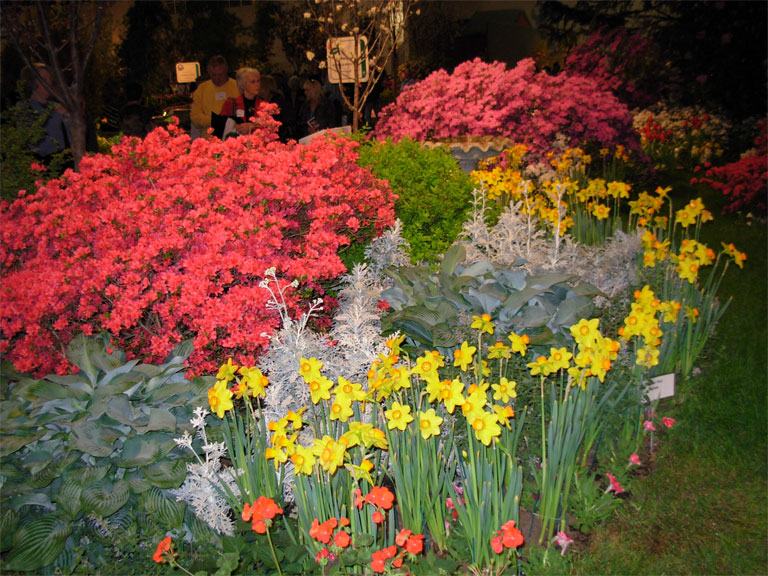 03062008philiflex-028.jpg