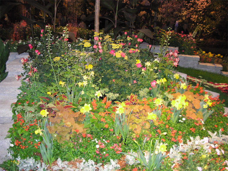 03062008philiflex-039.jpg