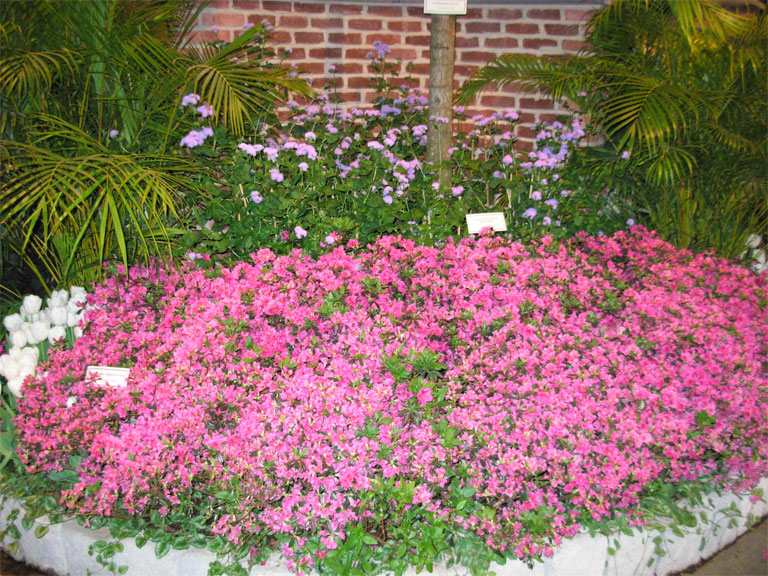 03062008philiflex-047.jpg