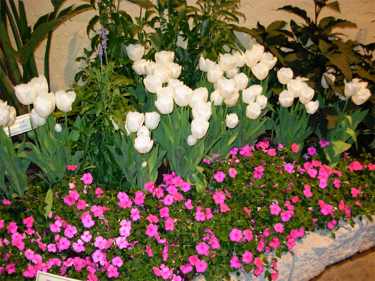 03062008philiflex-048.jpg