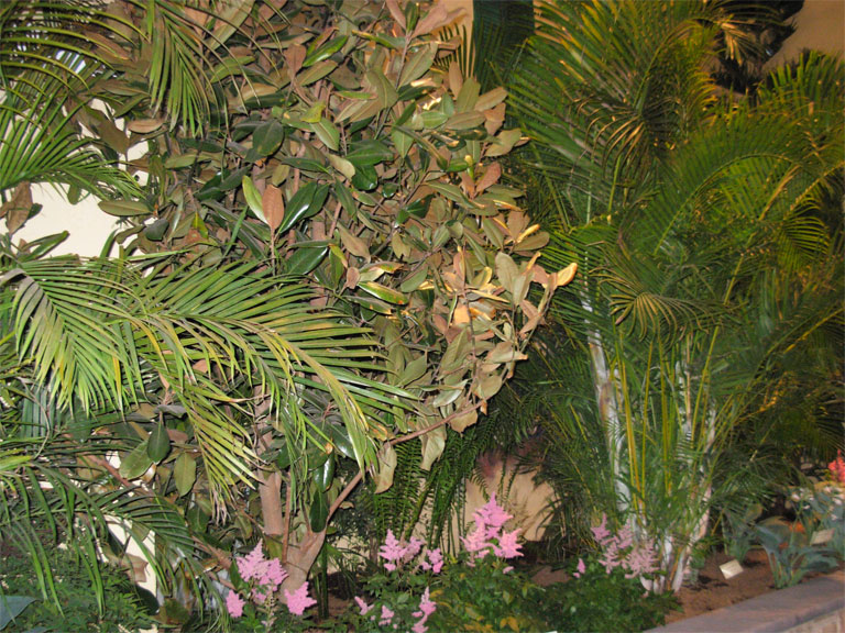 03062008philiflex-052.jpg