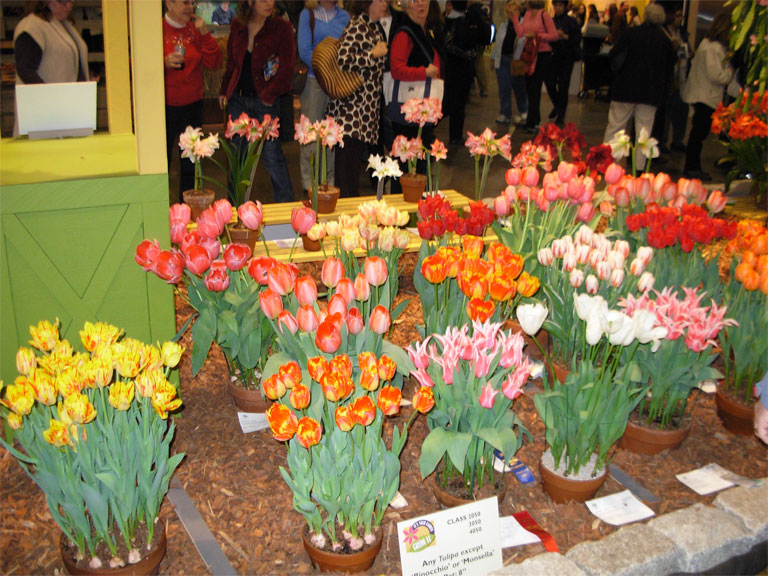 03062008philiflex-060.jpg
