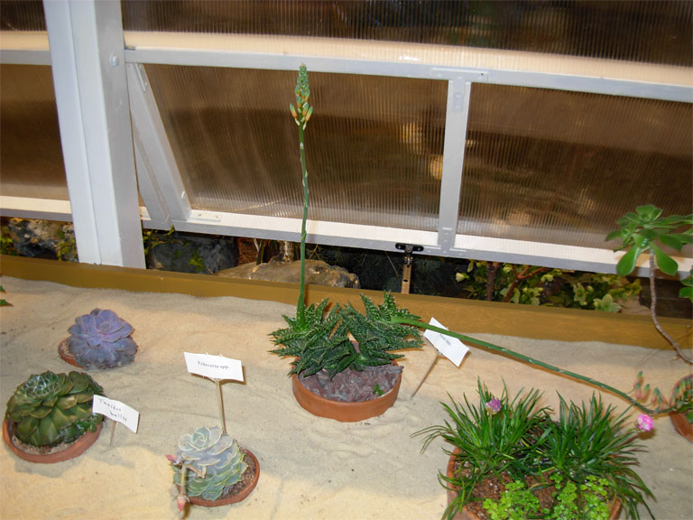 03062008philiflex-074.jpg