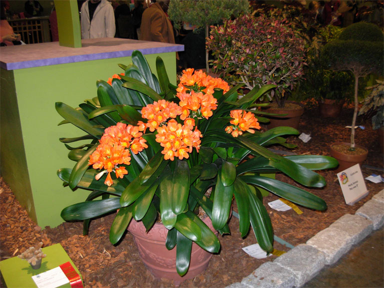 03062008philiflex-094.jpg