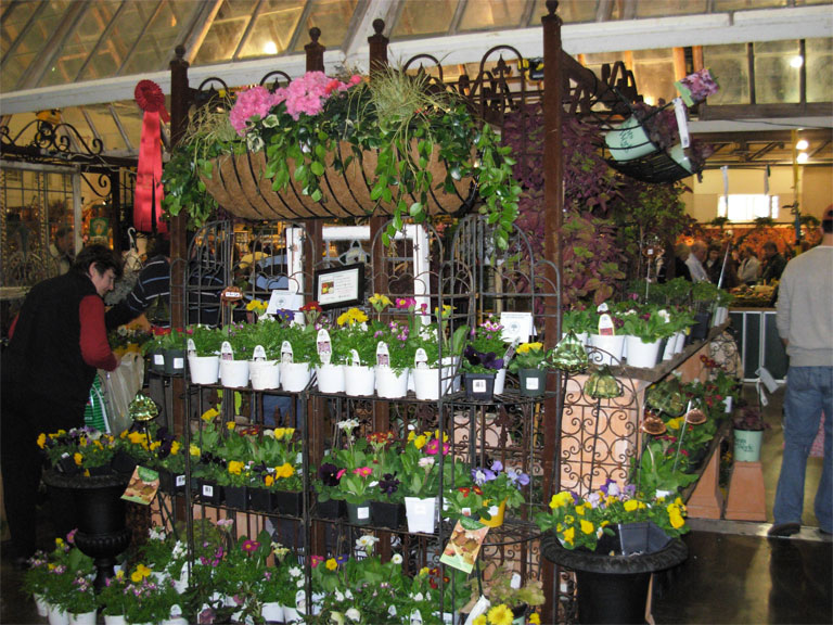 03062008philiflex-115.jpg